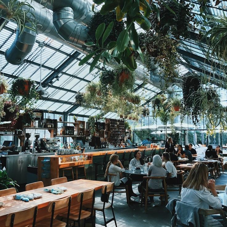 School choices for expat families in Amsterdam, Netherlands